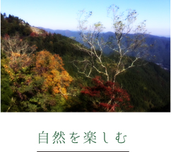 自然を楽しむ